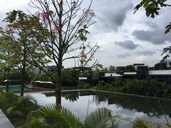 -蓝楹湾度假酒店