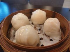 添运来虾饺皇-添运来(茶园奥园广场店)
