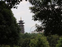 -洋湖国家湿地公园