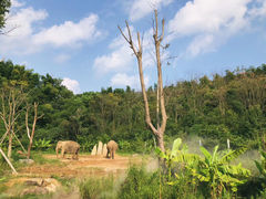 -宁波野生动物园