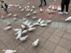 -王府井奥莱临潼小镇(临潼店)