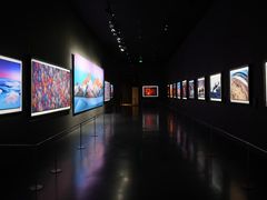 -罗红摄影艺术馆