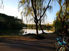 -东华大学(松江校区)