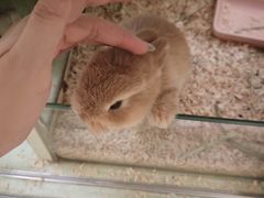 -龙猫仔乐园(惠福东路店)