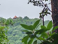 -广州白江湖森林公园