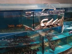 水产区-百纳·锦绣江南 (百纳瑞汀酒店)