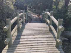 -宝界山林公园