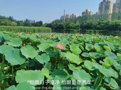 -前关湿地公园