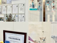 -美联众合爱康动物医院•复杂内科•肿瘤科•牙科•腔镜诊疗中心