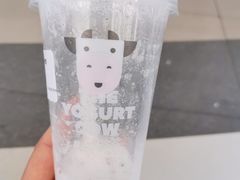 -一只酸奶牛(兰州中心店)