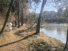 -日照海滨国家森林公园