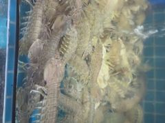 -坛南湾阿强农家乐.海鲜大排档老字号(福州地标美食店)