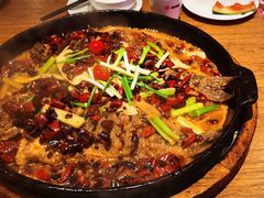 -老板恋上鱼(恒隆广场店)