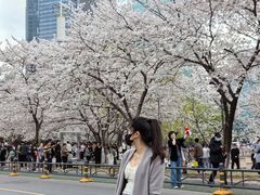 -西北湖绿化广场