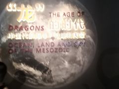 -贝林大翅鲸简餐厅(国家海洋博物馆店)