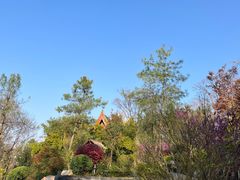 -七彩云南古滇温泉山庄