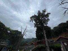 -灵光寺