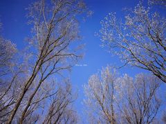-中旅松花湖滑雪场