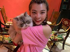 -猫色咖啡·猫咖