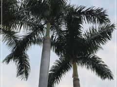 -广州市白云山风景名胜区