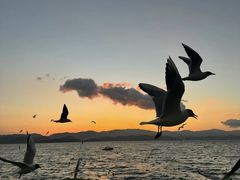 -大理洱海