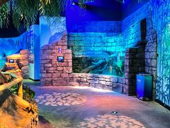 -沈阳海洋探索中心