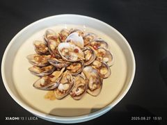 炝拌胶东黄蚬子-鲁采LU STYLE(新天地店)