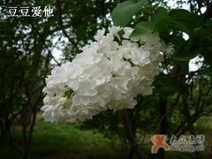 -紫竹院公园冰场