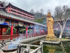 -黔灵山公园