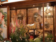 -秘密旅行Bonjour(黑金冠 江南西店)