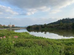 -风云岭森林公园