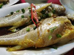 -蛇口康乐快餐鱼仔档(翠苑小区店)
