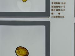 -中华赏石园