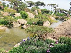 -罗红摄影艺术馆