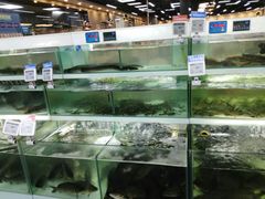 -盒马渔市餐厅