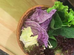 -洪氏嗨捞·猪肚鸡火锅(阳光天地店)