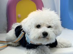 -上海神旺大酒店