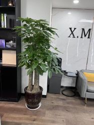 -CE·专业蛋白•羽毛接发·潮色烫染品牌店