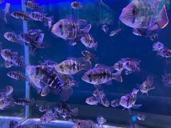 -石林冰雪海洋世界