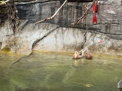 -黑龙潭风景区