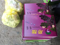 -马陆小张葡萄园农家乐