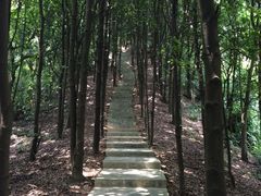 IMG_9674-广州市帽峰山景区