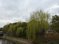 -南翔镇银翔湖公园