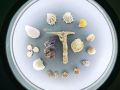 -中国湿地博物馆