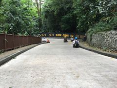 -圣淘沙天际线斜坡滑车