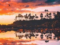 -山东大学千佛山校区-图书馆