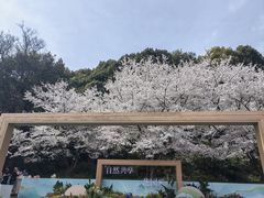 -苏州上方山国家森林公园