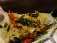 -新天明砂锅鱼头煲