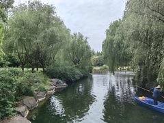-上海滨江森林公园