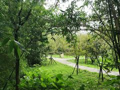 -福建鲤鱼洲酒店